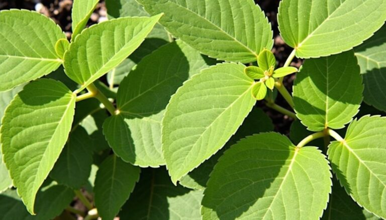Les 10 arbres à feuilles caduques incontournables pour embellir votre jardin