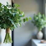 Eucalyptus en salle de bain : astuce déco et bienfaits à découvrir